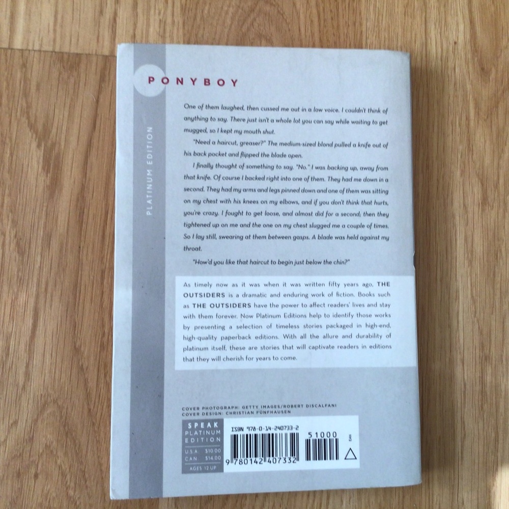 The Outsiders Book - Picture 3 of 3